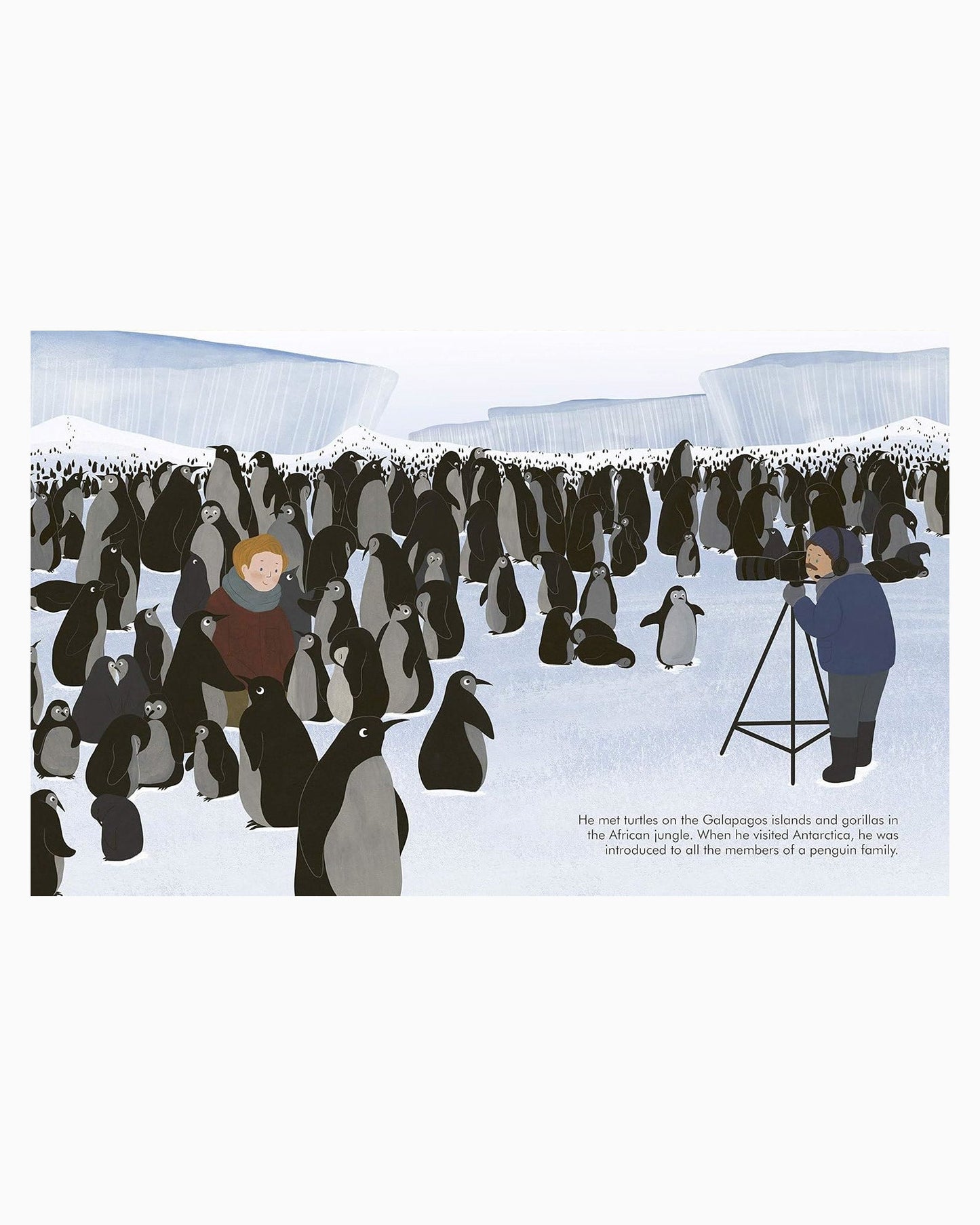 Little People Big Dreams Advent Calendar Book